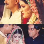 Shaista Wahidi, huband Waqar, bother Sahir Lohdi