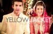 Syra Yousuf and Shehroz Sabzwari wedding
